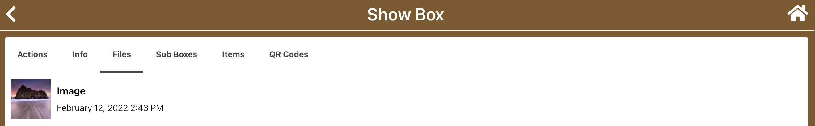 show-box-files-tab-2.png