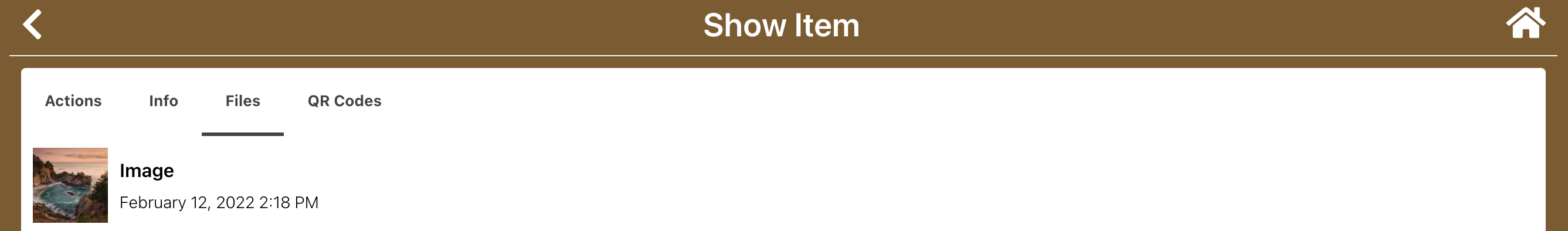 show-item-files-tab-2.png